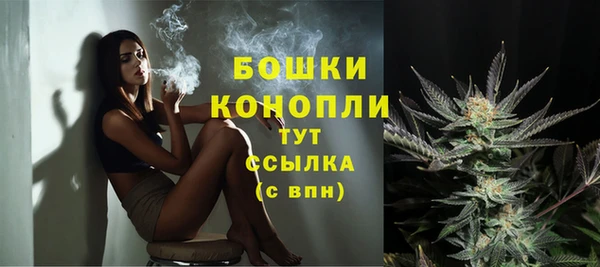 мдпв Карпинск