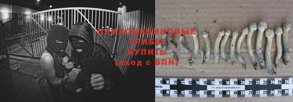 mix Каменка