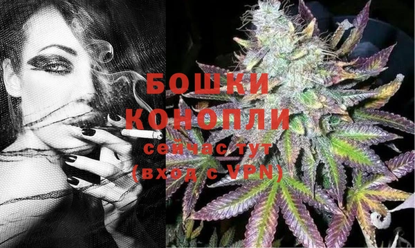 мдпв Карпинск