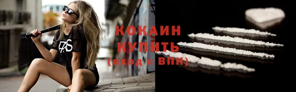 мдпв Карпинск