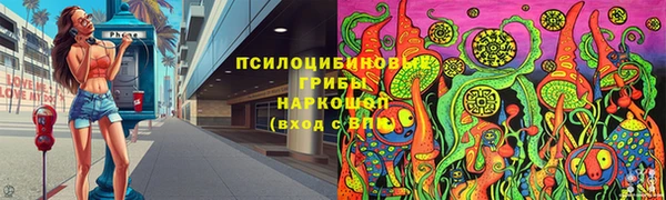 мдпв Карпинск